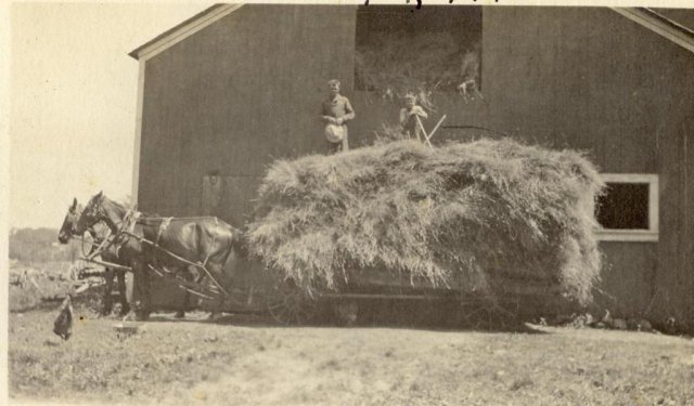 Load of Hay